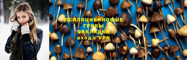 прущие грибы Рославль