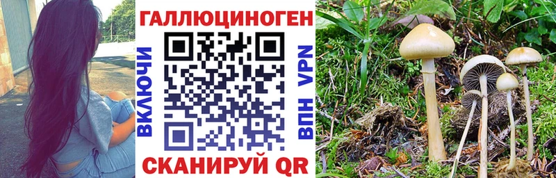 Псилоцибиновые грибы Magic Shrooms  Курлово 